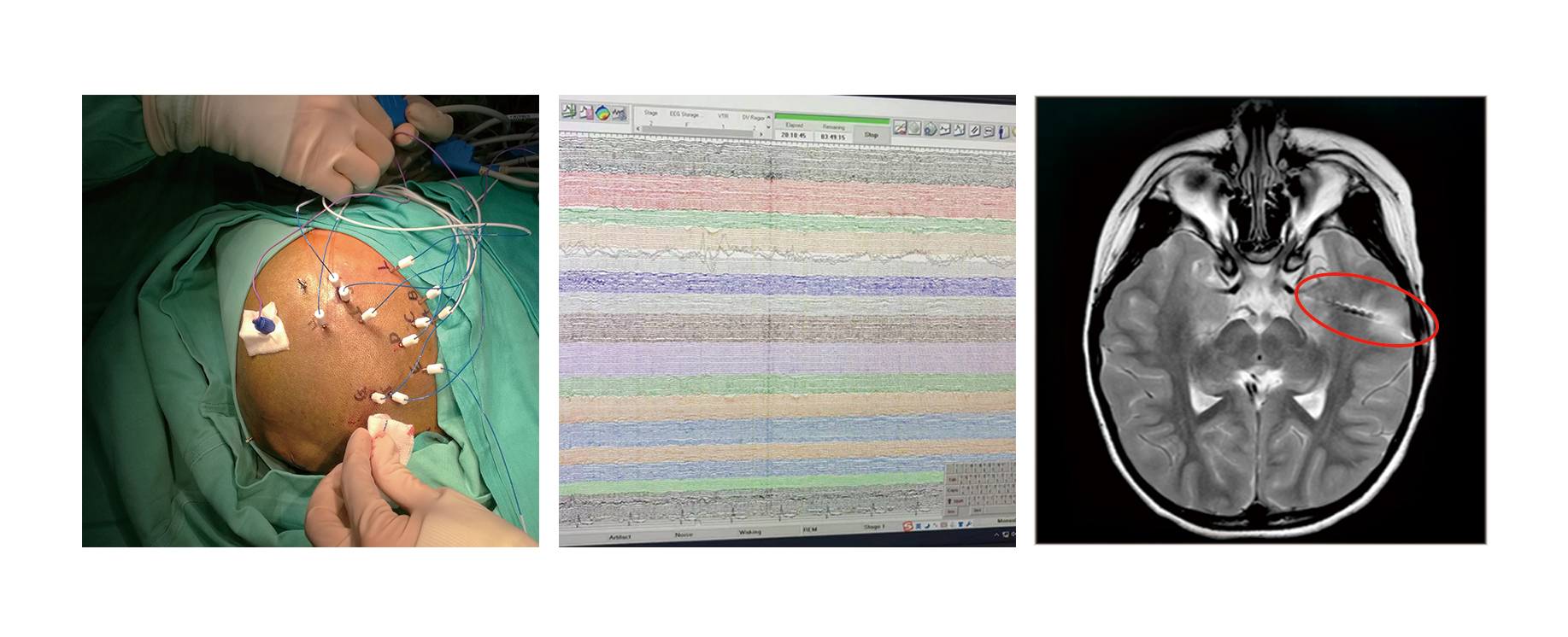 圖層 65.jpg 圖層 65.jpg